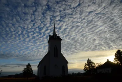 DSC_3107 (Large).JPG